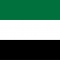 uae flag